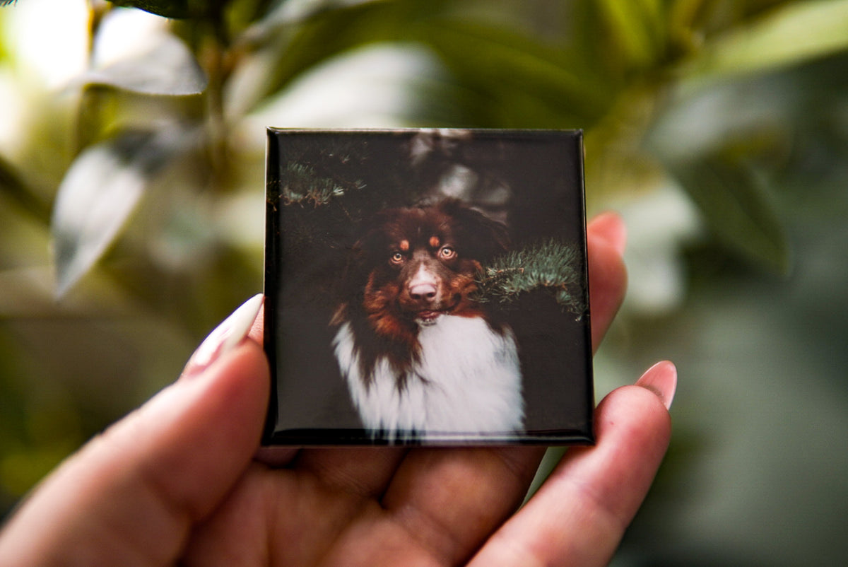 2x2" Photo Magnets